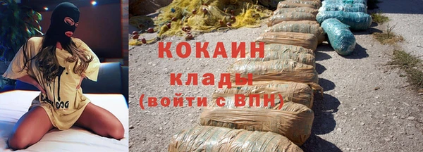 дживик Бронницы