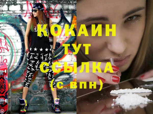 дживик Бронницы