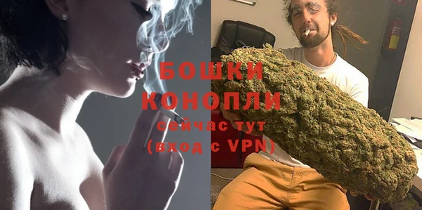 дживик Бронницы