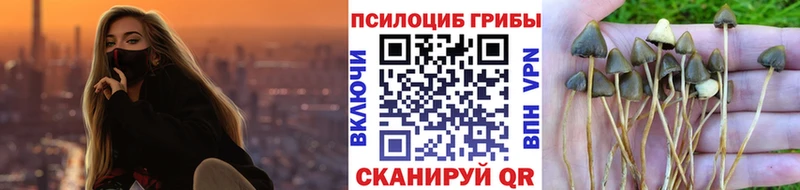 Псилоцибиновые грибы мухоморы  Тосно 